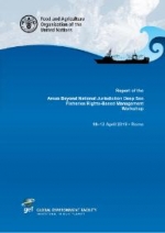 Report of the Areas Beyond National Jurisdiction Deep Sea Fisheries Rights-based Management Workshop, 10-12 April 2019, Rome